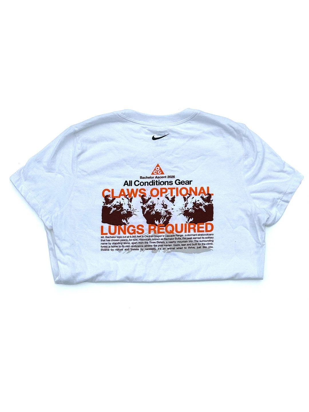 BA Shirt1.JPEG