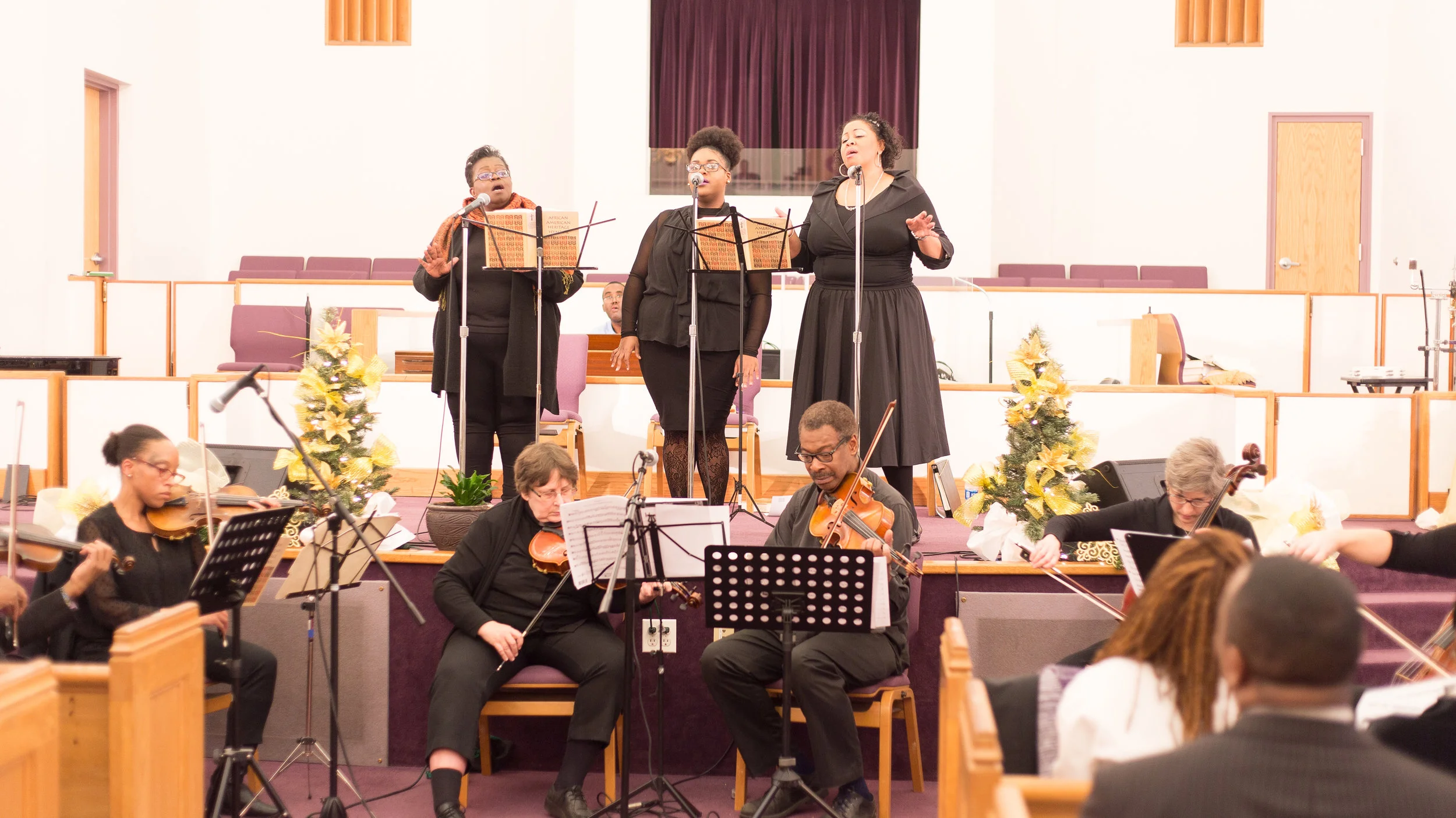 Gallery - DC Strings Workshop
