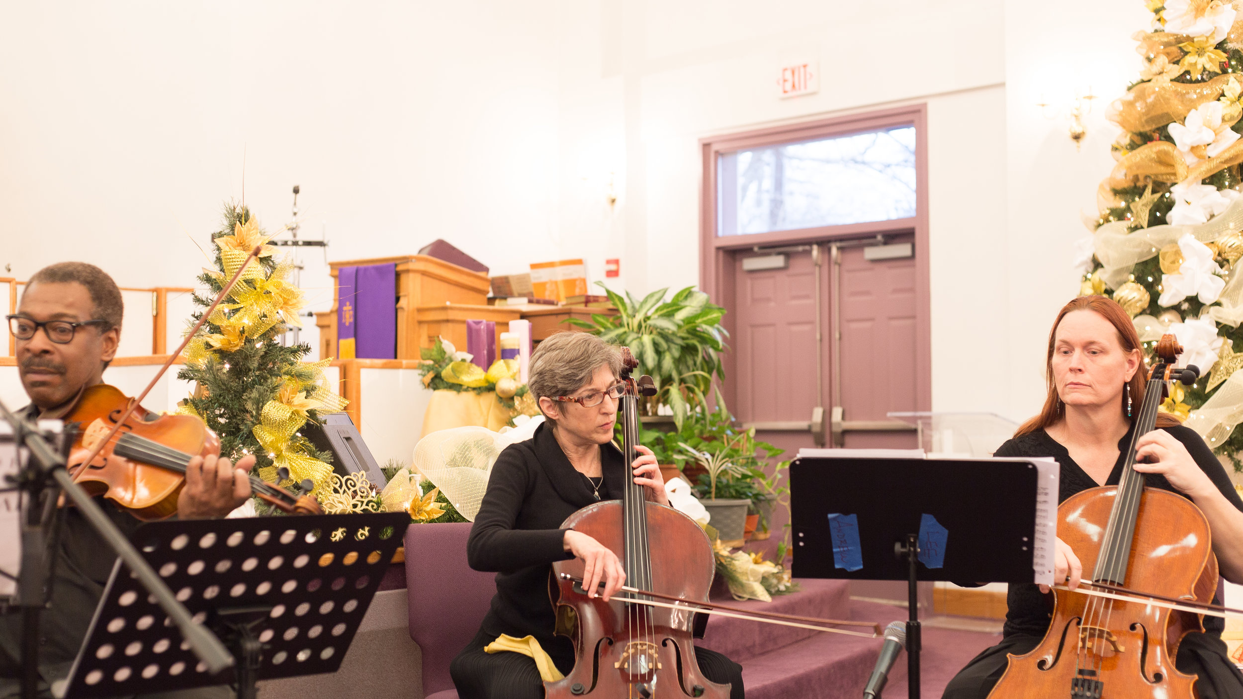 Gallery - DC Strings Workshop