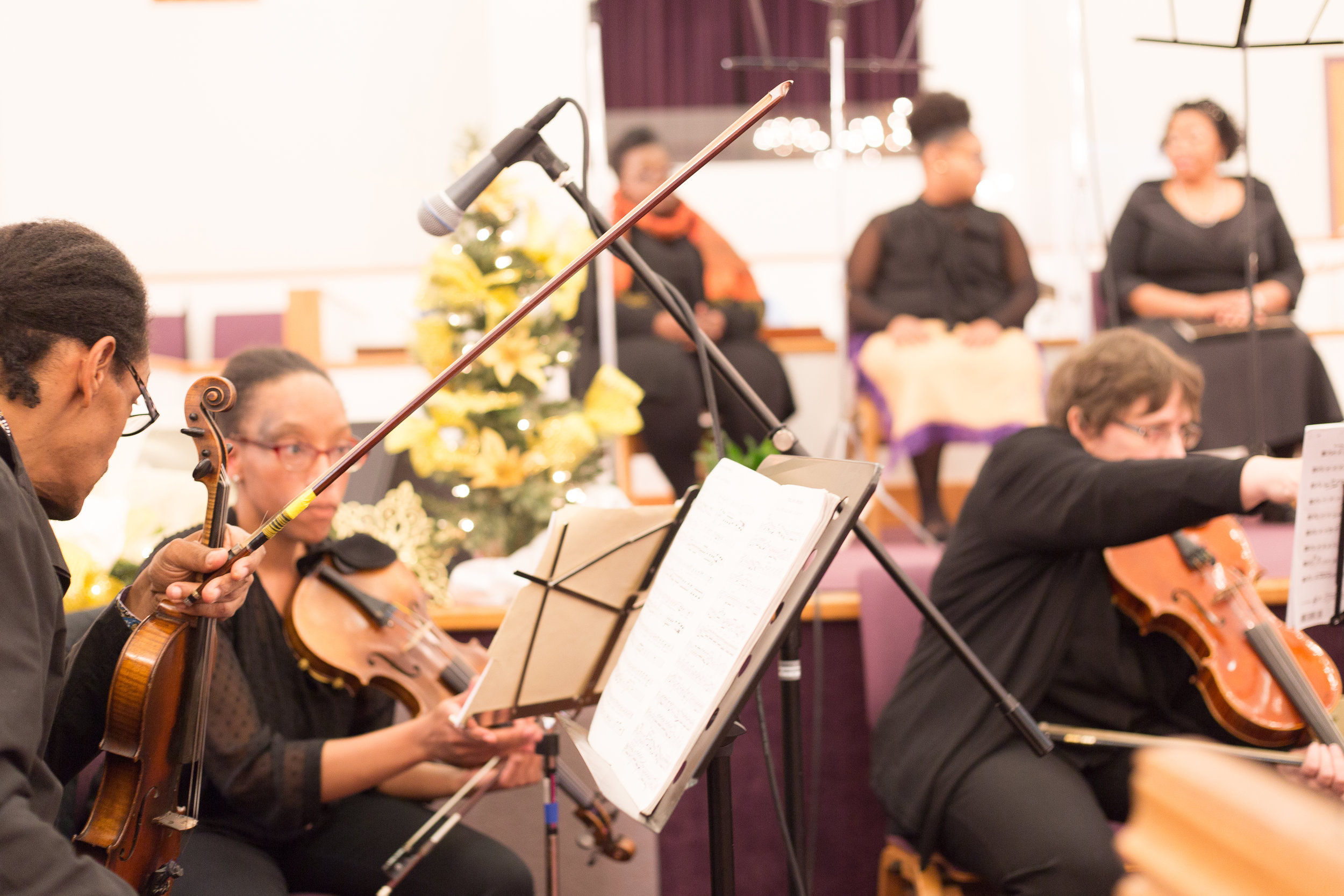 Gallery - DC Strings Workshop