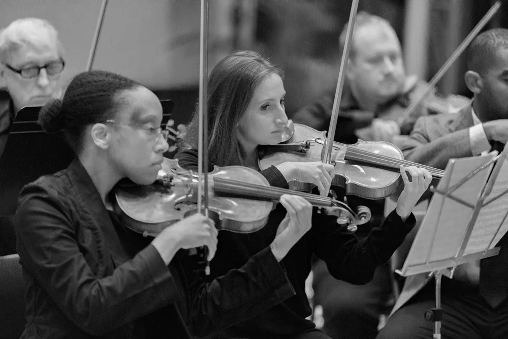 Gallery Grid - DC Strings Workshop