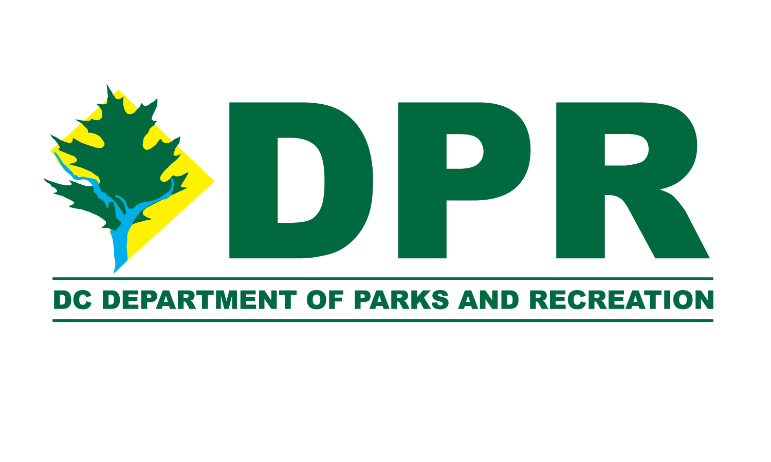 DPR-Logo.png
