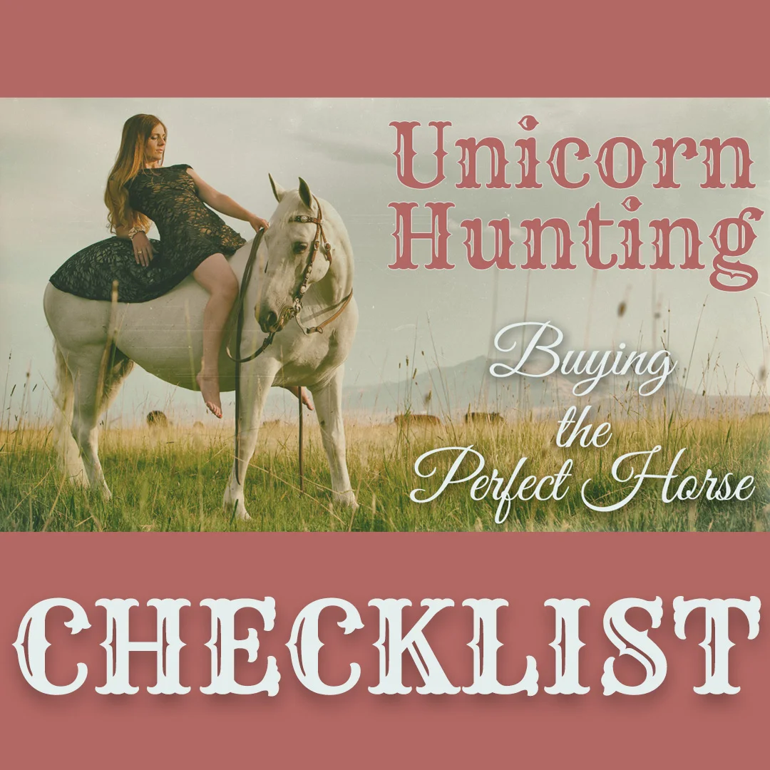 Unicorn hunting checklist thumbnail square.jpg