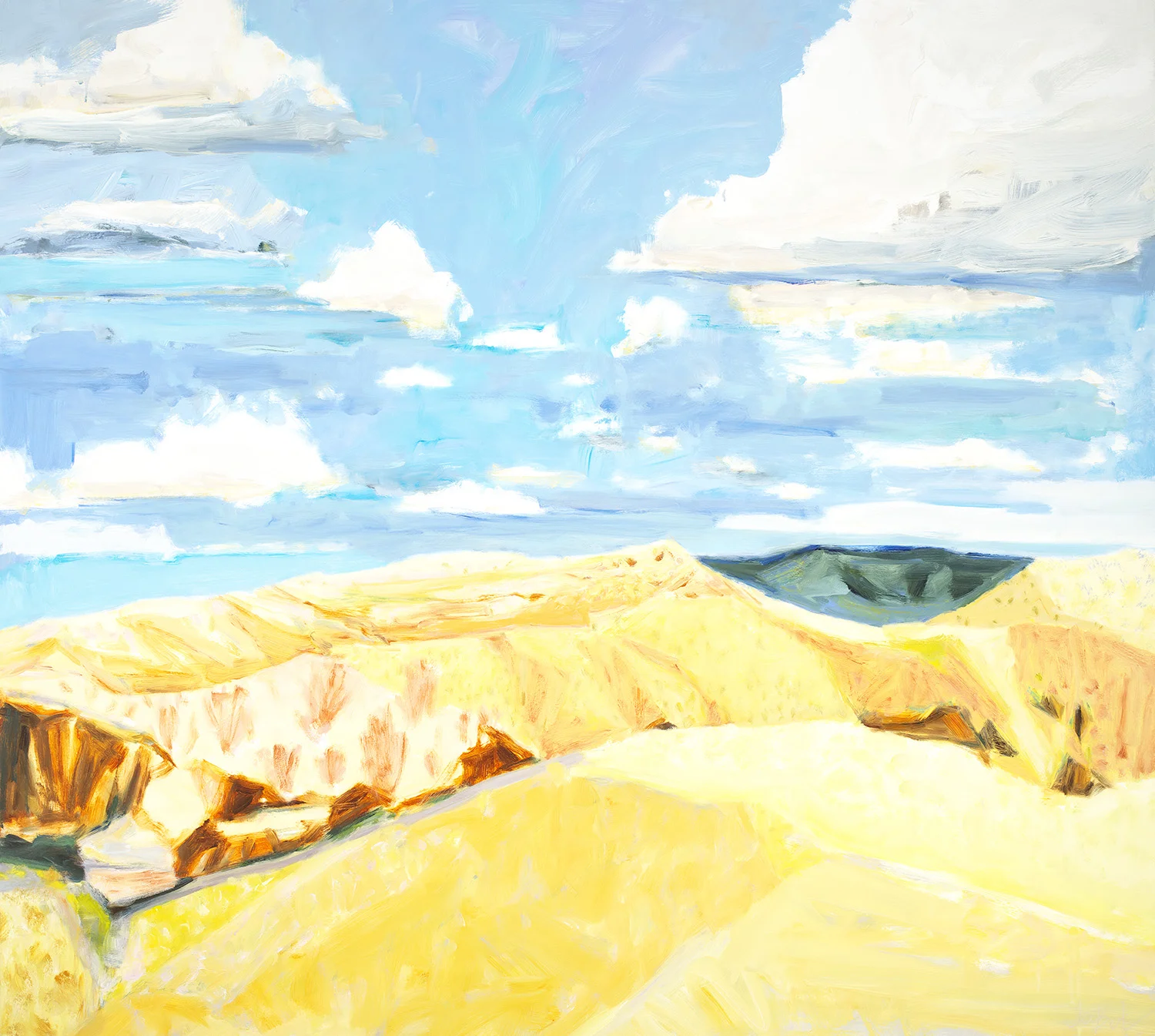 Dune Field