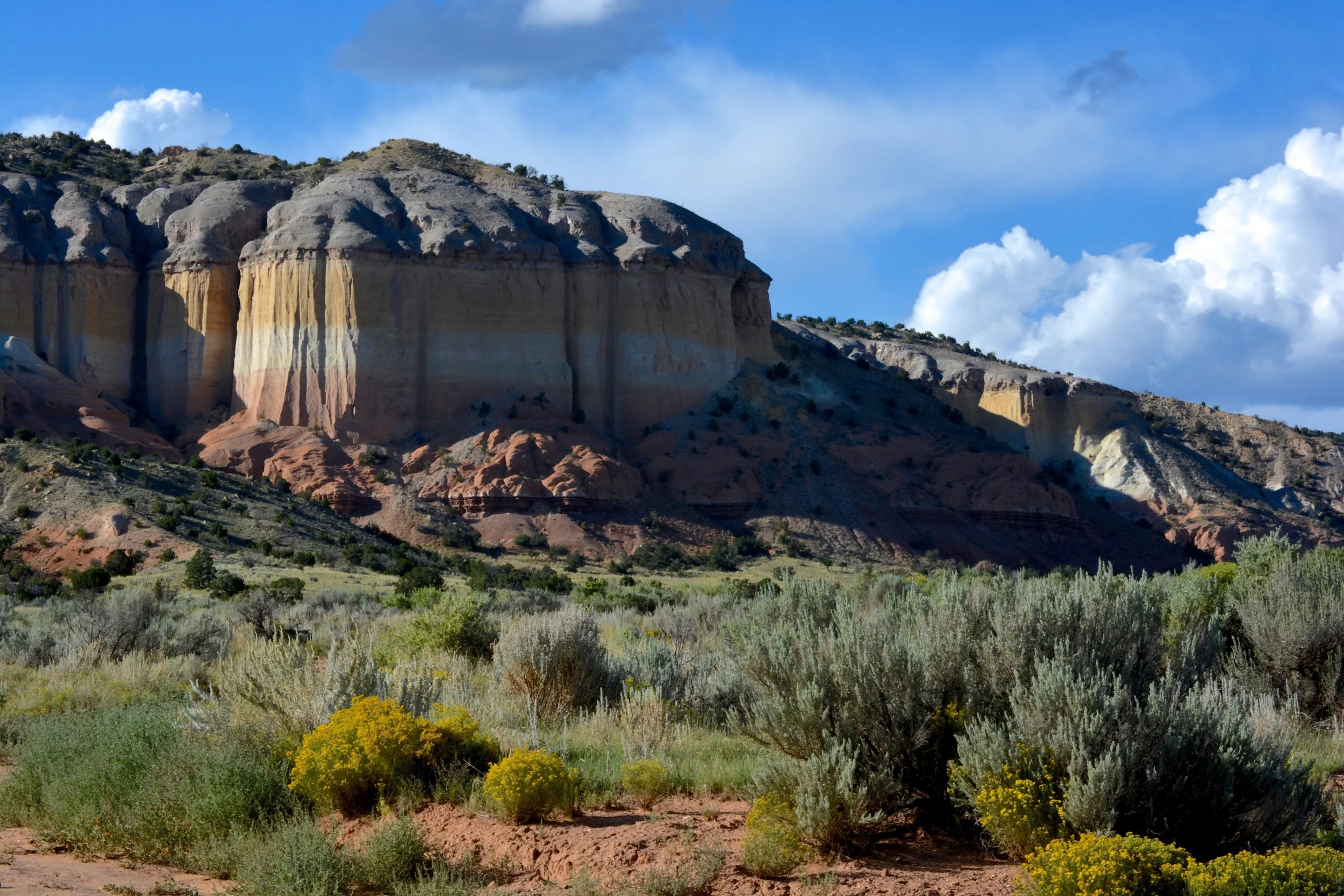 DSC_0147.jpg