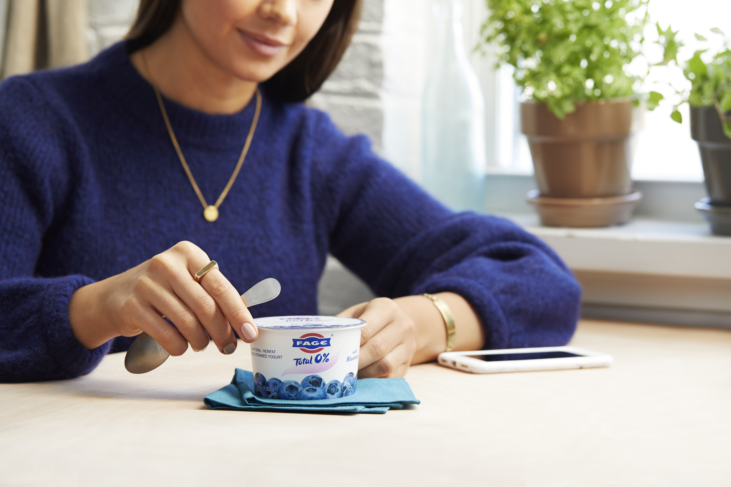 FAGE_US_Q4_SC_Blueb_Window_096_RTF.jpg