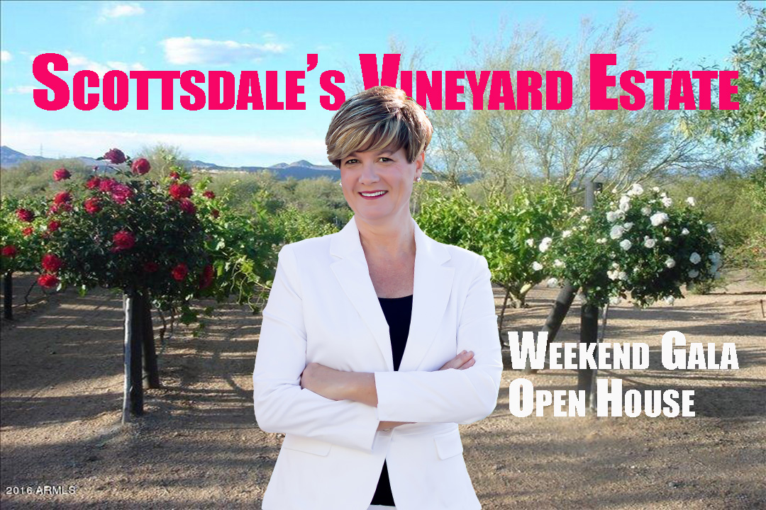 Your Own Private Vineyard in Scottsdale