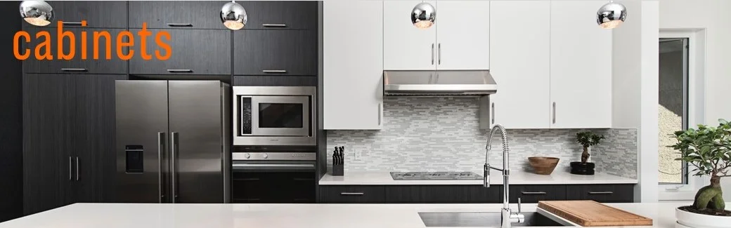 cabinet header.jpg