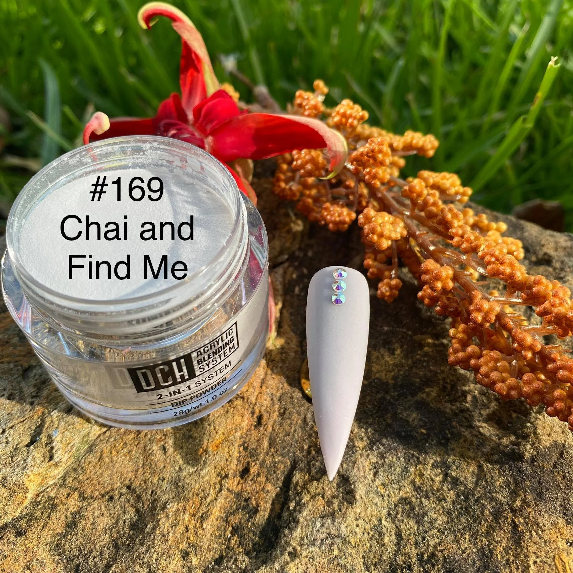 dch169 Chai and find me.jpg