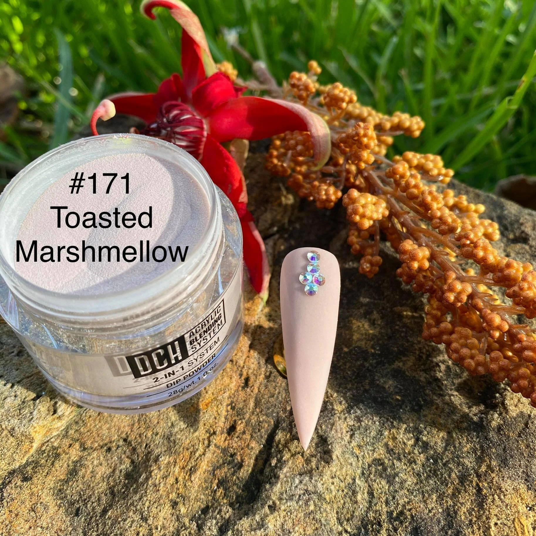 dch171 toasted marshmellow.jpg