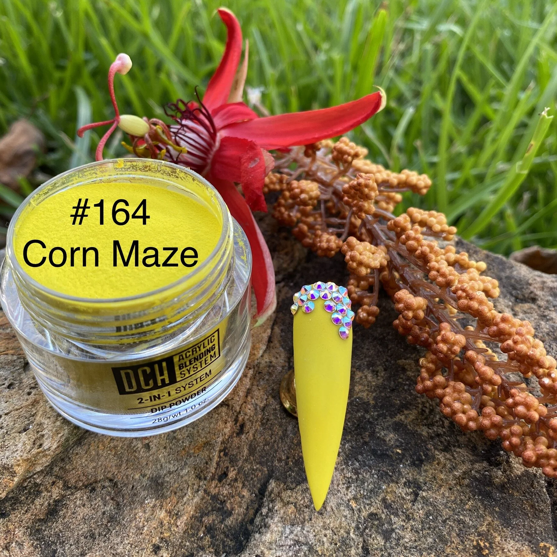 E2A99981-77CB-48CE-9197-DFDA83A01319