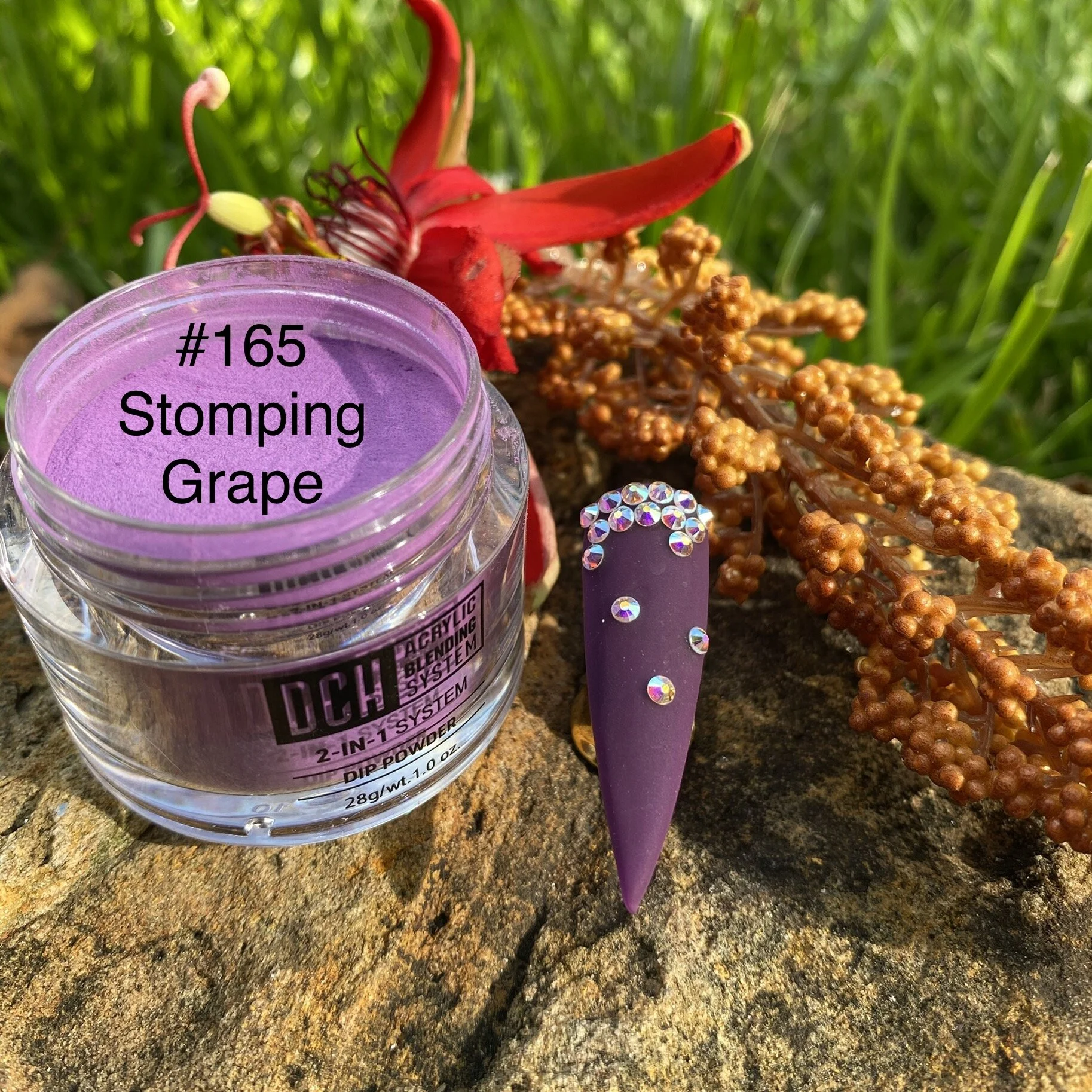 49A35597-FD46-40CC-911B-DBB70C93E820