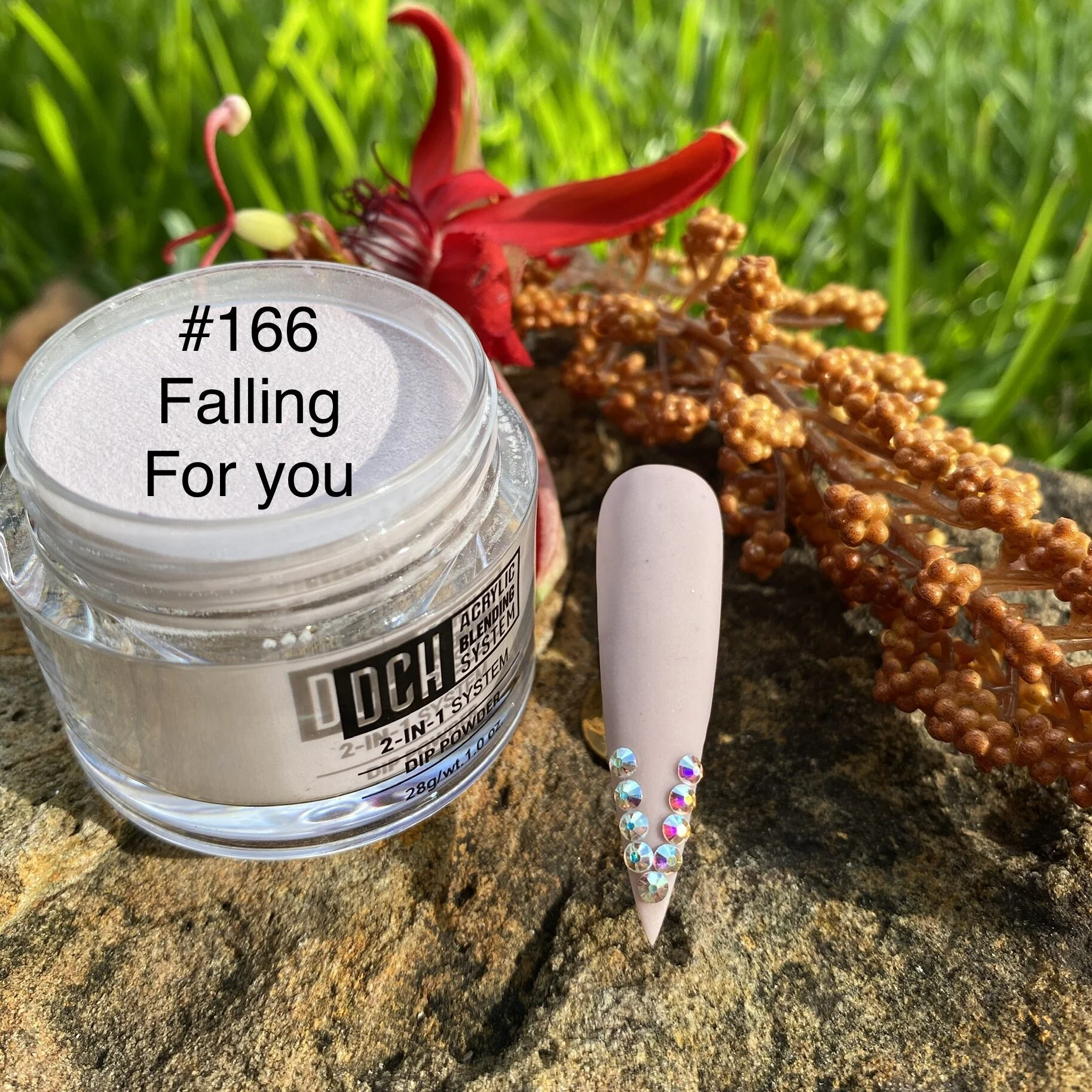 F153F8C4-C2F9-4142-B5FF-099D4CF7D776