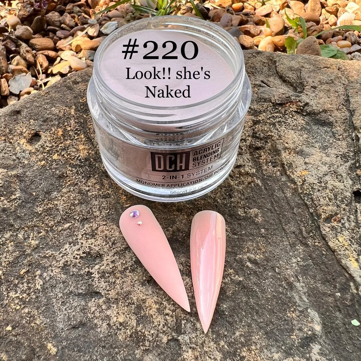 220 Look!! She's Naked.jpg