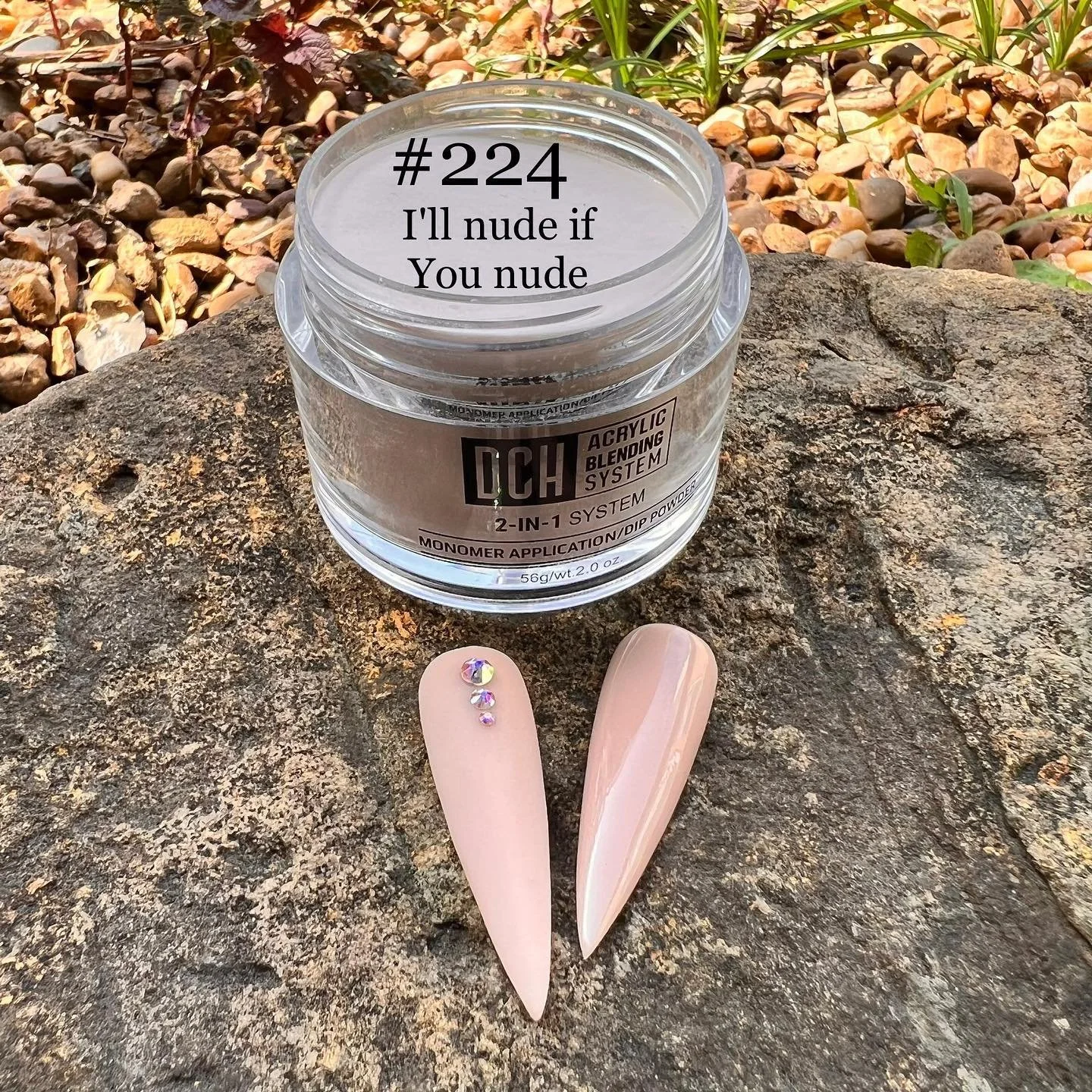 224 I'll Nude if You Nude.jpg