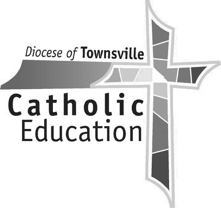 townsville-ceo-colour-logo.jpg
