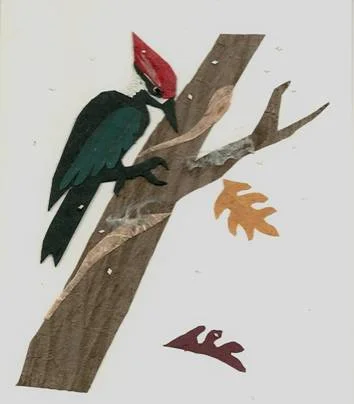 red-headed woodpecker