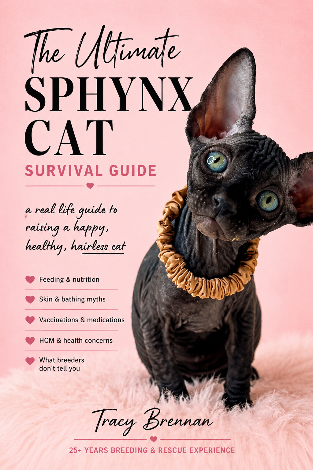 The Ultimate Sphynx Cat Survival Guide
