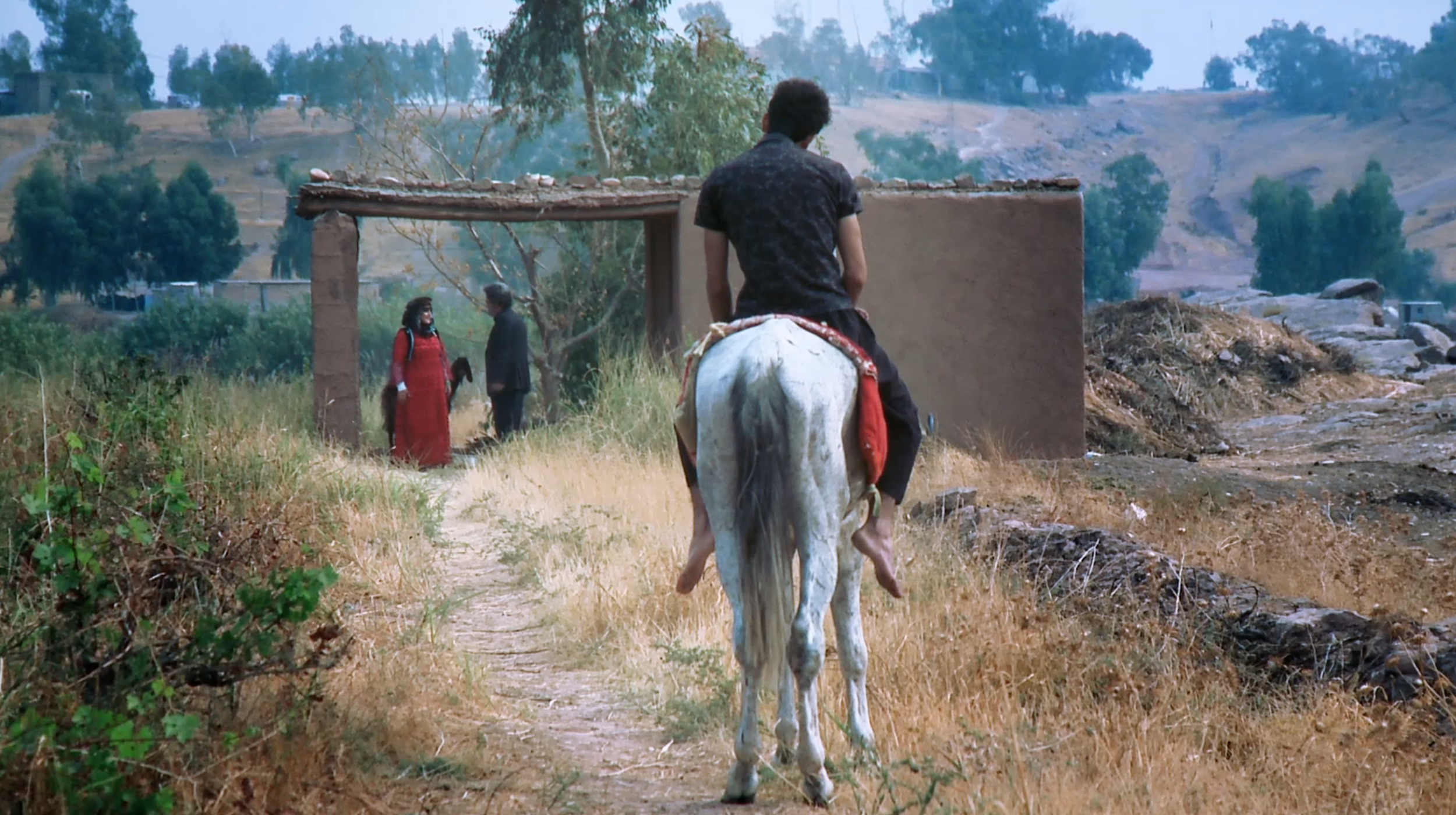 The Guy Came on Horseback by Hossein Rabiei Dastjerdi Runner up, Best Narrative Film 2017