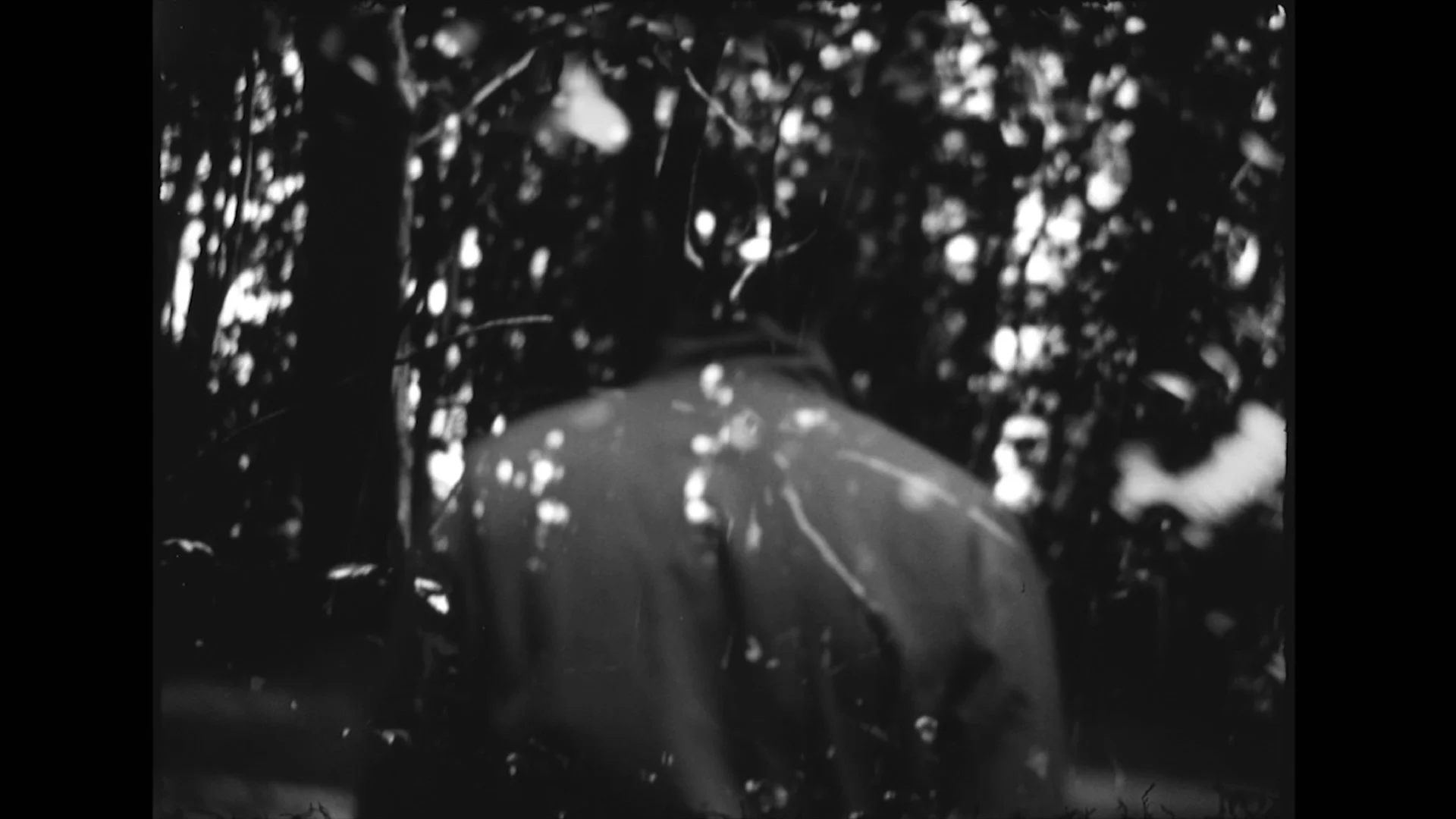 Photo 1 MANINTHEBUSHES1.jpg