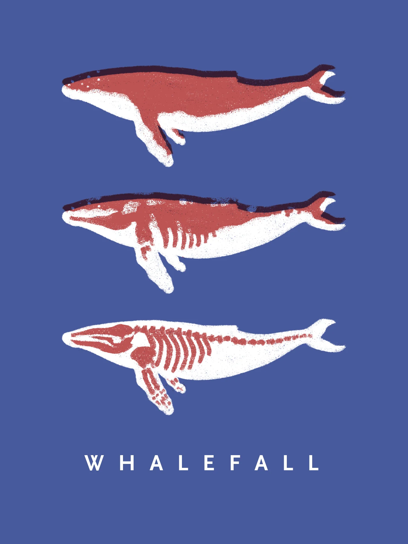 whale_falls_zine.jpg