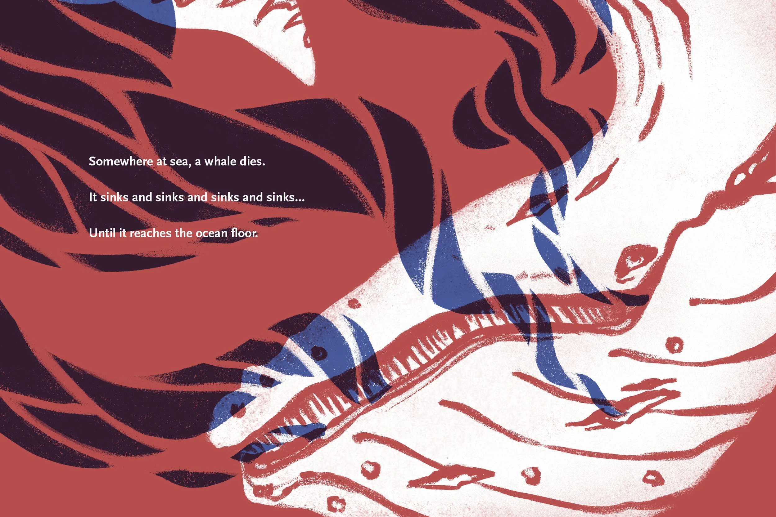 whale_falls_zine2.jpg