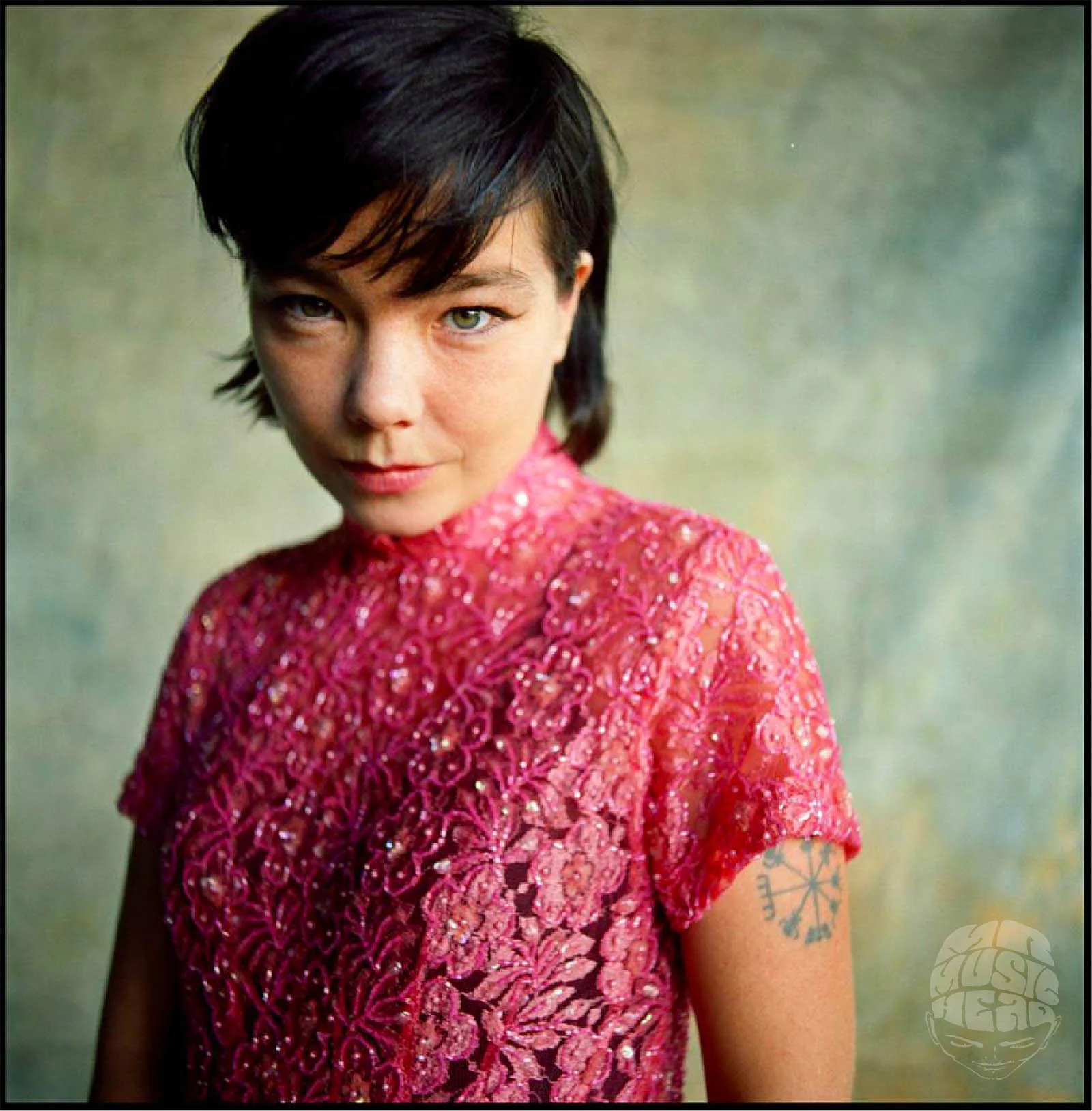 Danny Clinch_bjork.jpg