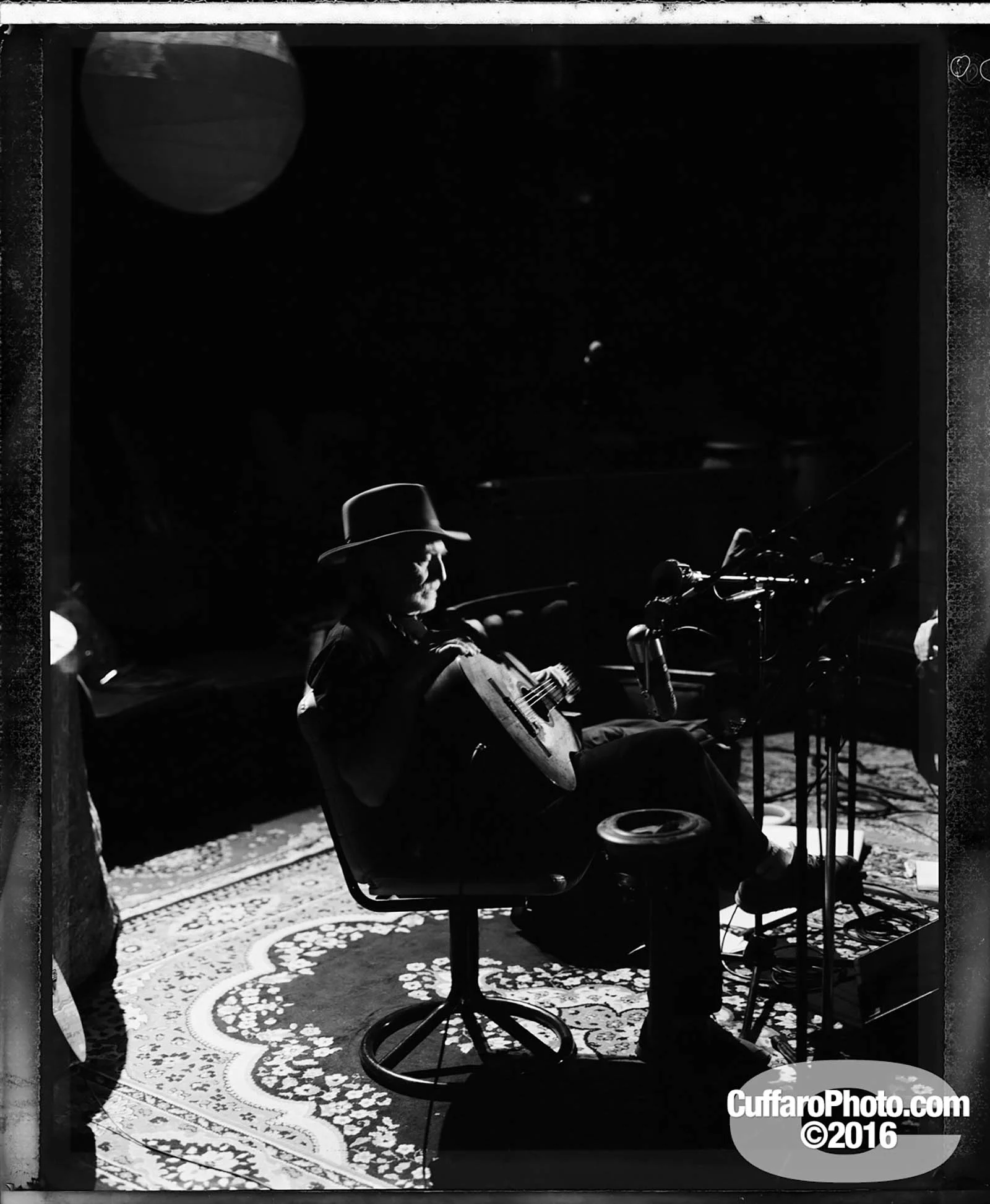 chris cuffaro_willie nelson.jpg