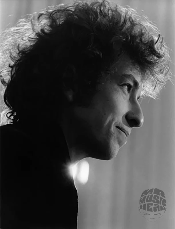bob_dylan_guy webster.jpg