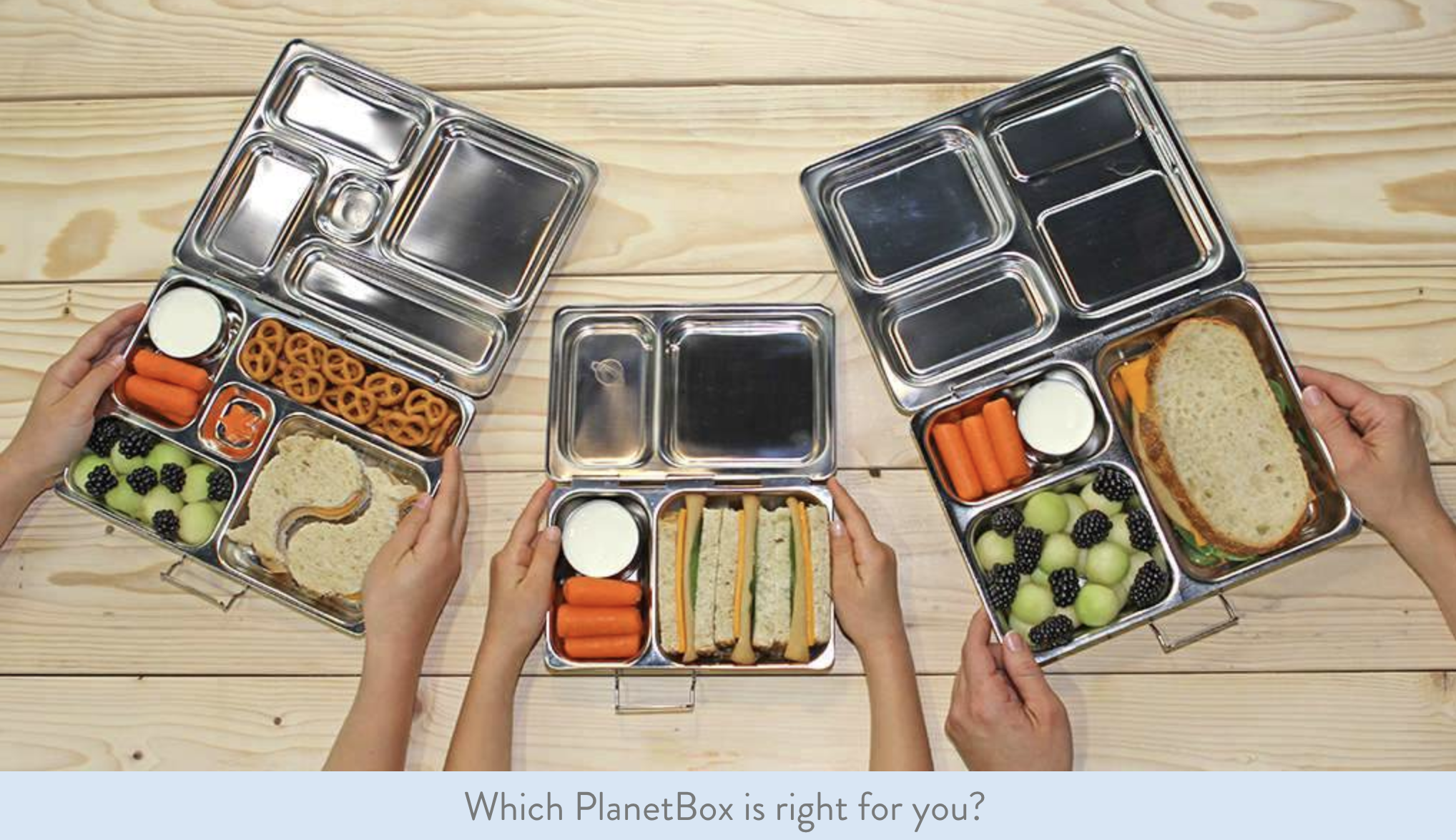 Click here or on the image above to check out PlanetBox.
