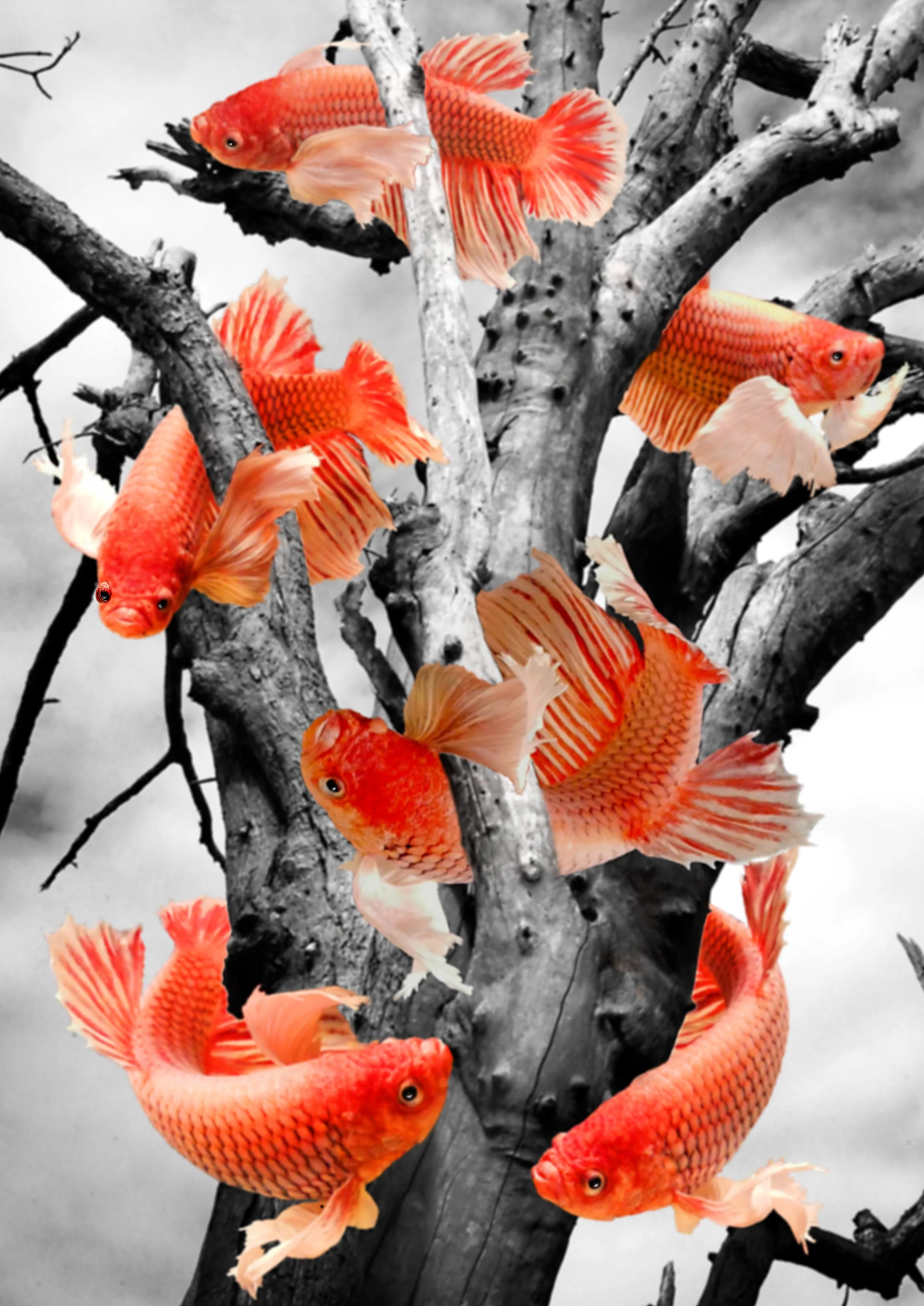 alfie.6 fishes tree trunk.jpg
