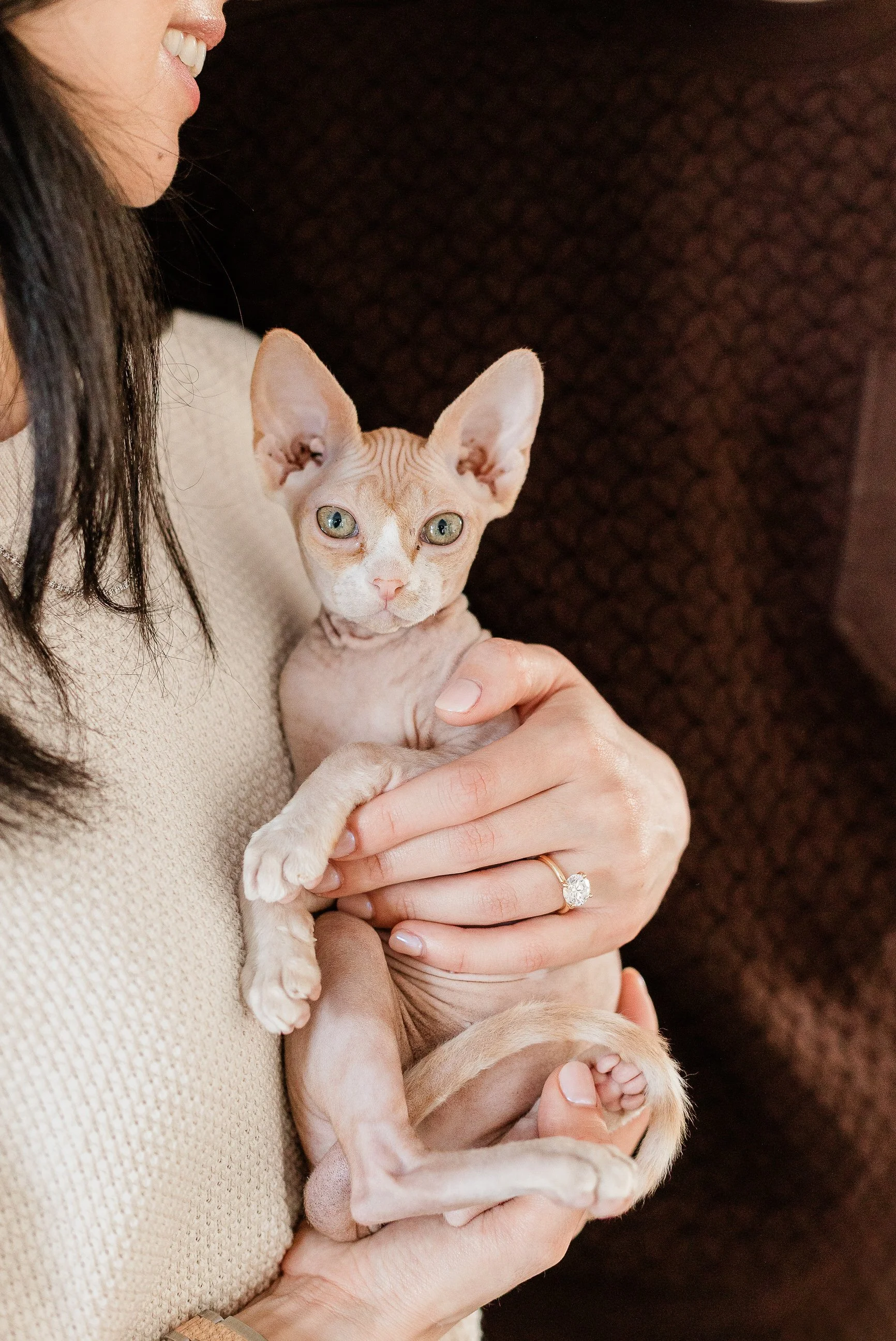 KristalEvanJCNancyPurrlosi_SneakPeeks_HighRes_2025-26.jpg