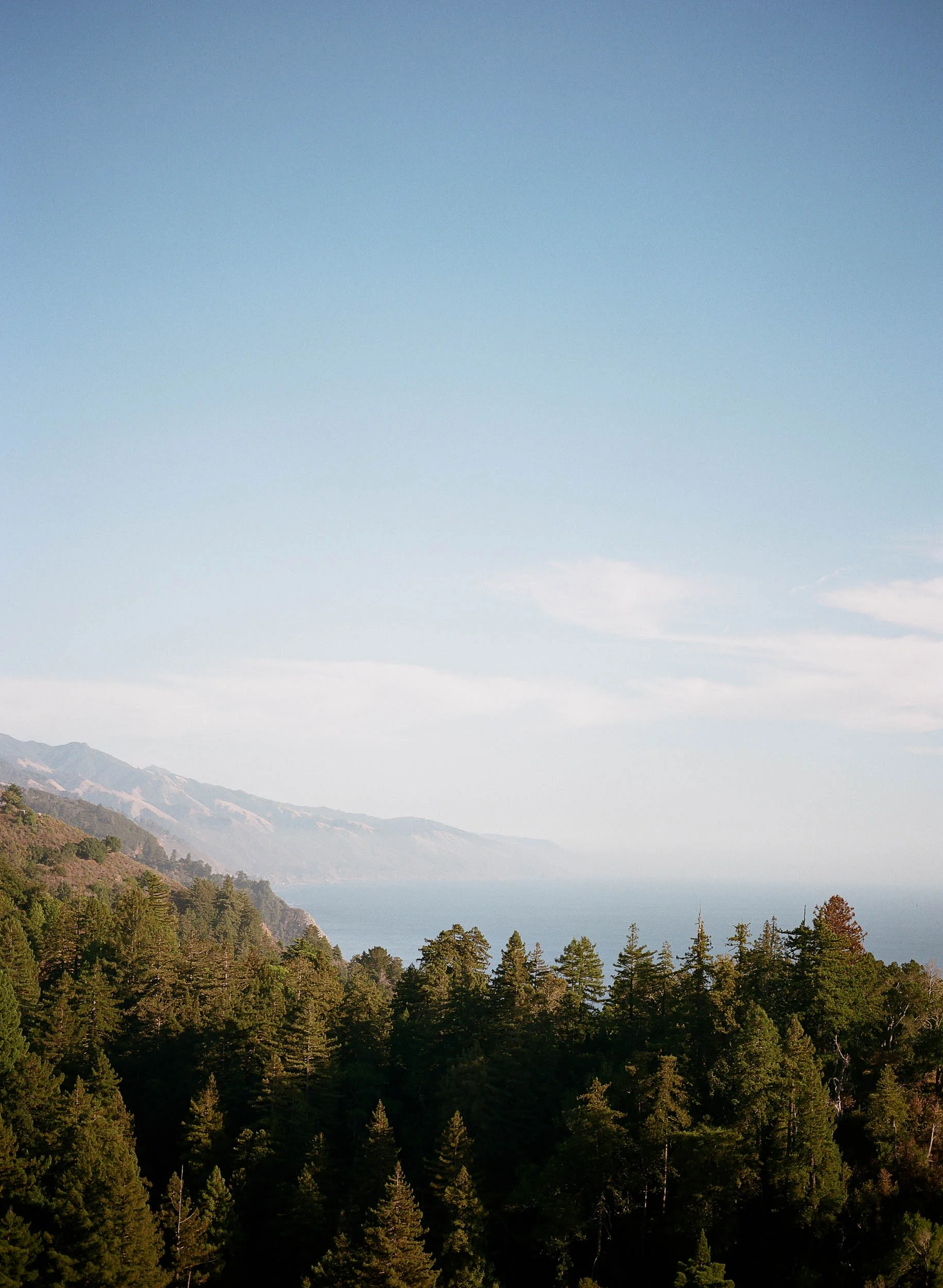 Ventana Big Sur Wedding_Buena Lane Photography.jpg