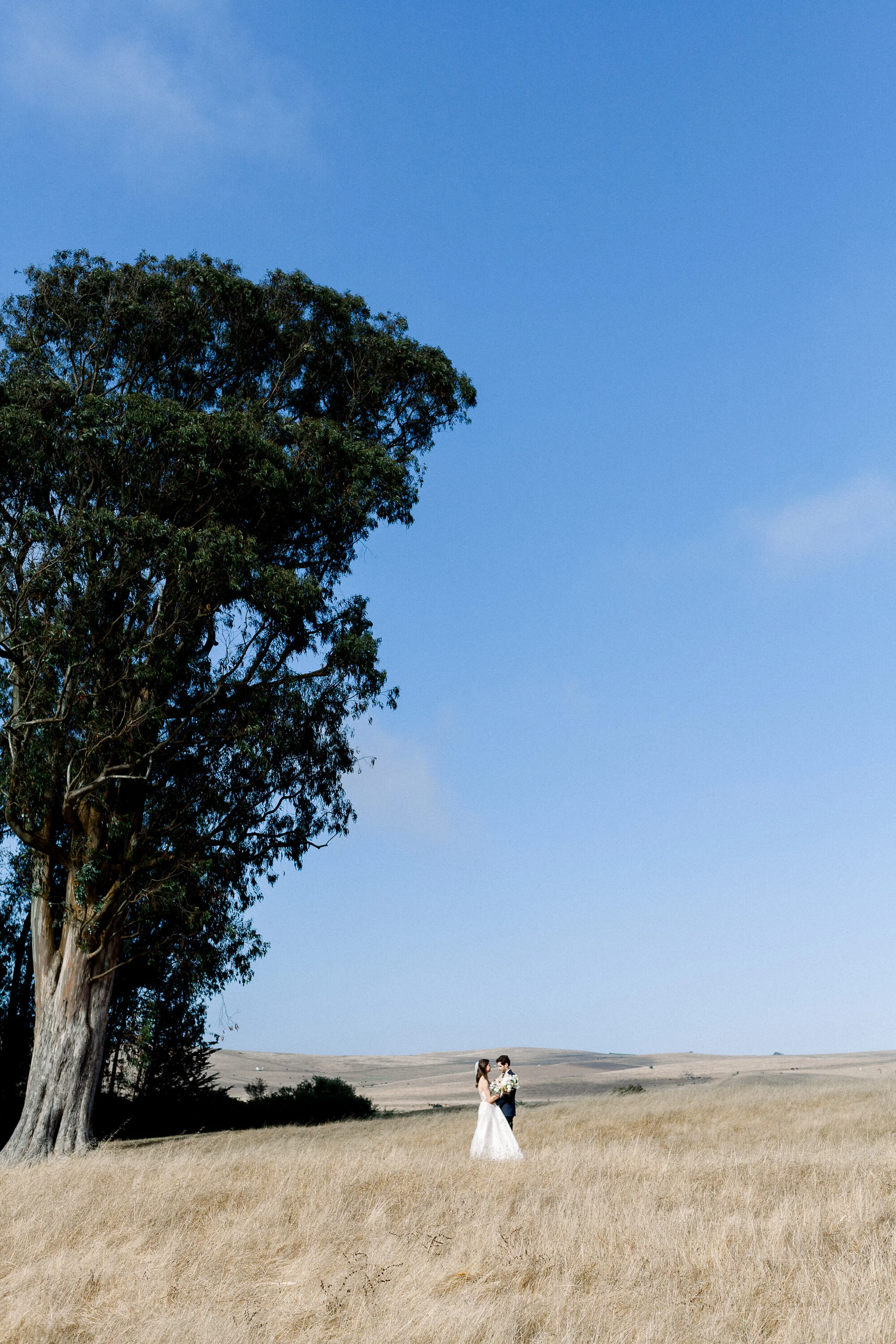 081719_E+J_Haven at Tomales Wedding_Buena Lane Photography_350.jpg