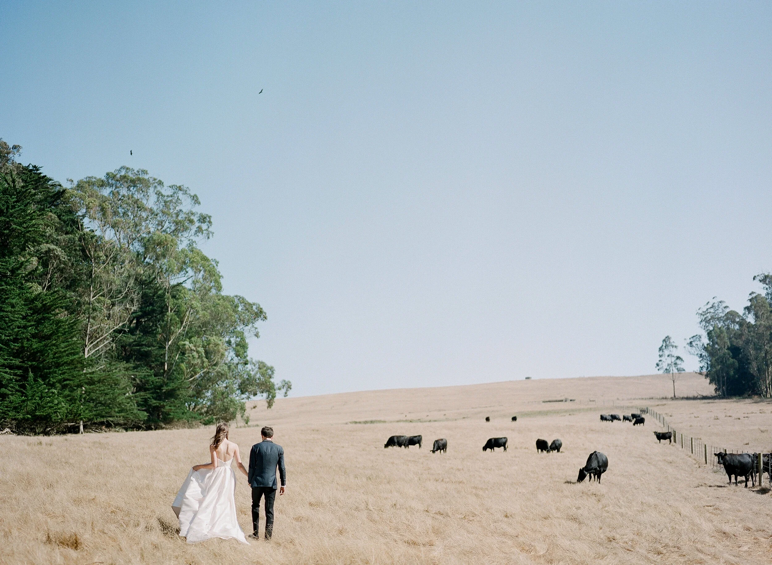 081719_E+J_Haven at Tomales Wedding_Buena Lane Photography_109.jpg