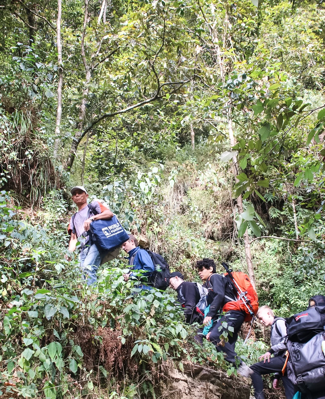 Mountain Immersion