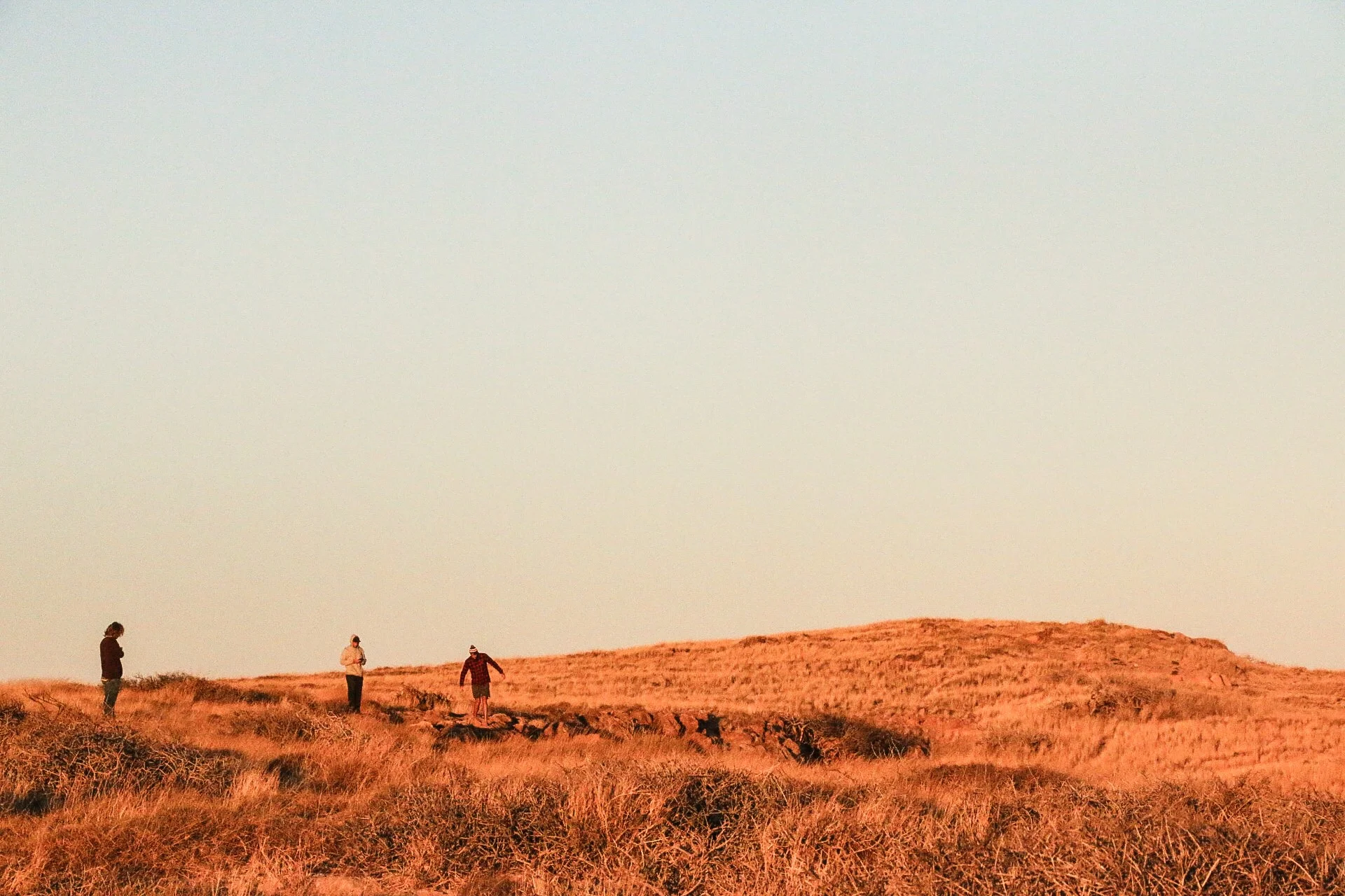 Dawn patrol surf checks on the hill.