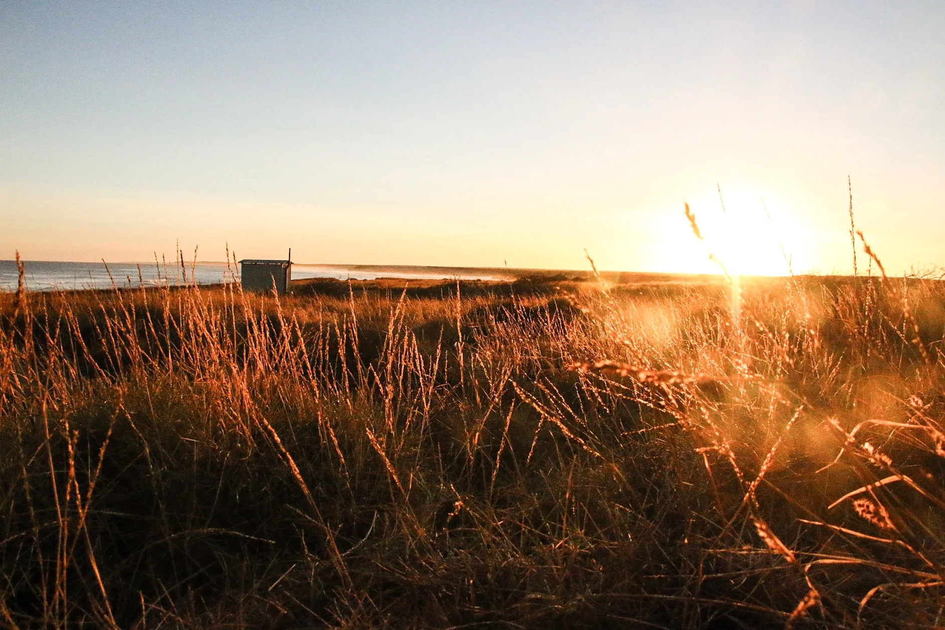 The good ol’ dunny drop in the distance. With barely any rainfall throughout the year, native flora is adapted to survive with minimal water (xerophytes). The morning dew doesn’t do too bad a job.