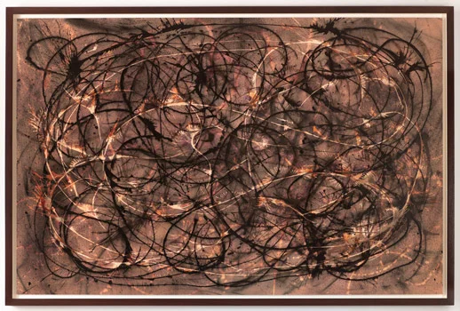 Variation No. 22 , 2011 gelatin silver print; 42 x 64" (106.7 x 162.6cm); unique