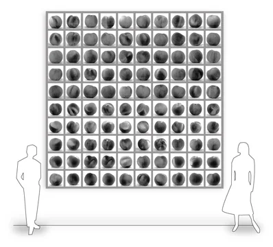 Peaches , 1999-2002 (artist rendering) Archival pigment prints; Installation dimensions variable; 100 individually; ramed prints, 20 x 16" (50.8 x 40.6cm) each; Edition of 5, 1 AP