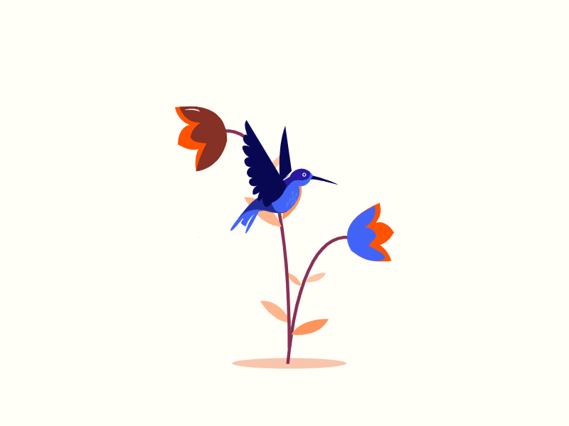 Nectar Bird is an SVG web animation for MailPoet