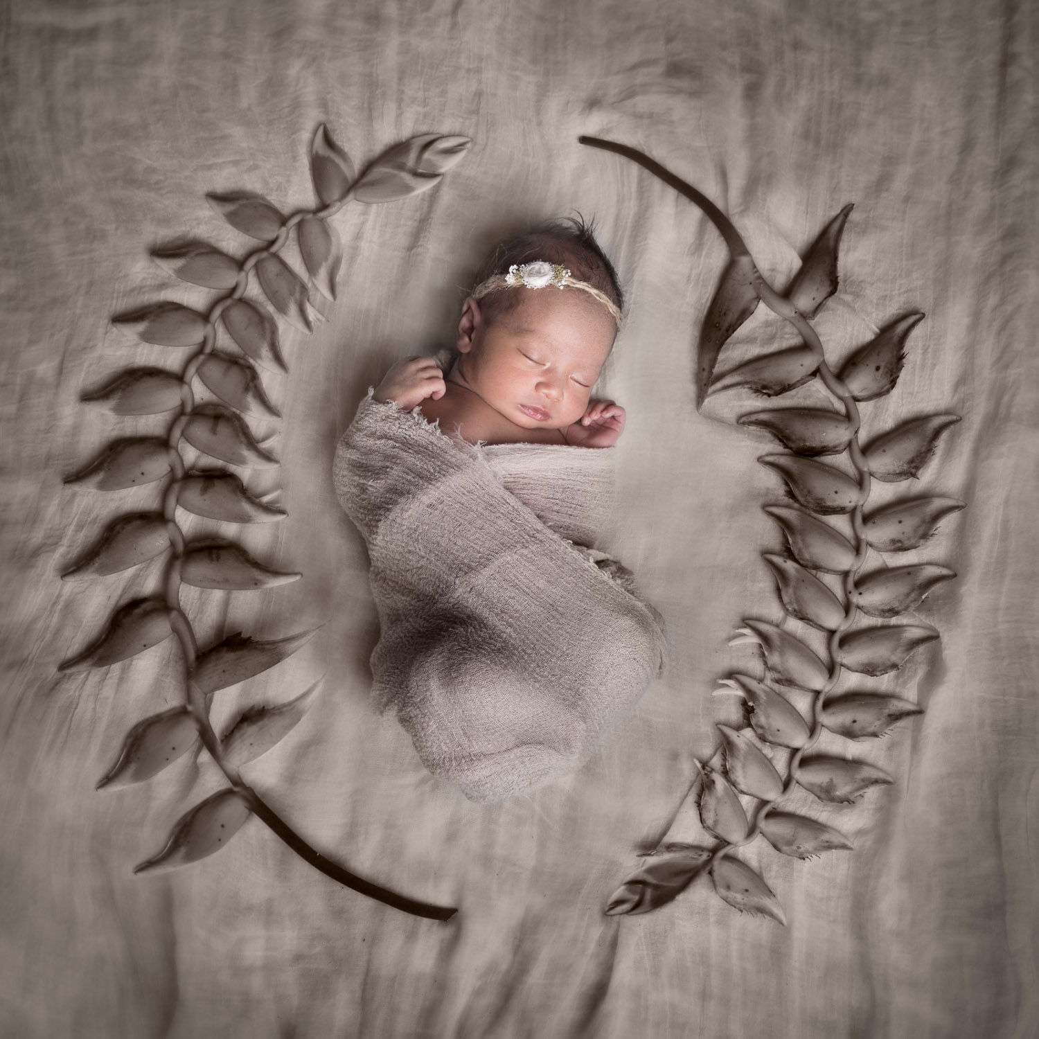 Silver Award Newborn | WPPI Print 2017