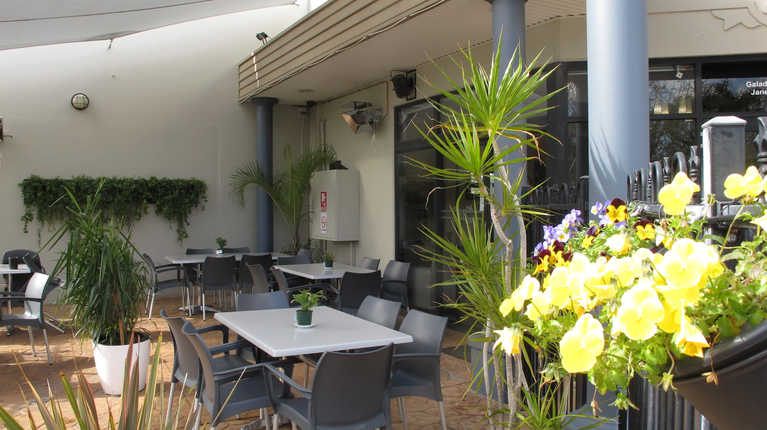 bally's 11 08 15 019.JPG