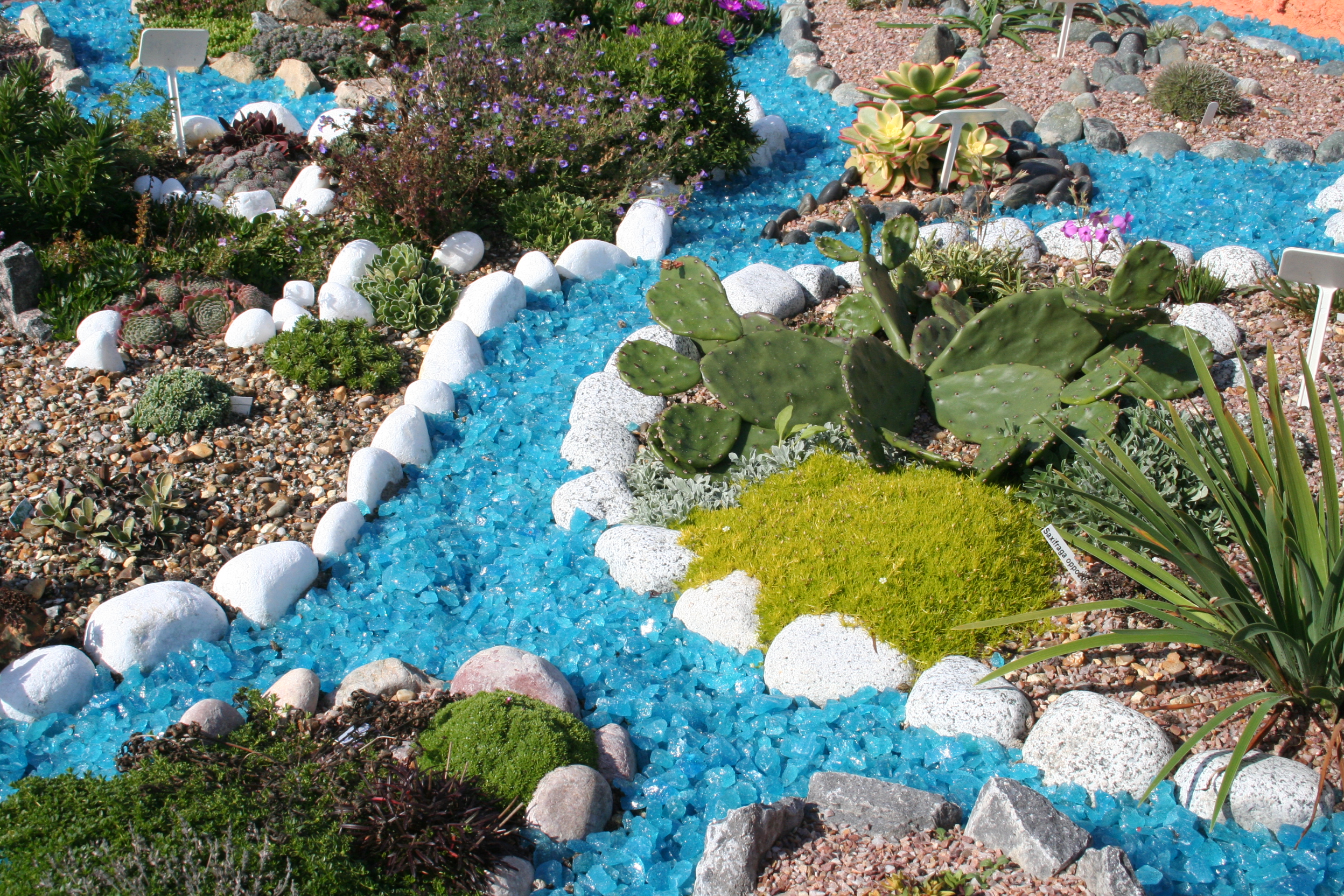 Miniature Alpine World Garden.JPG