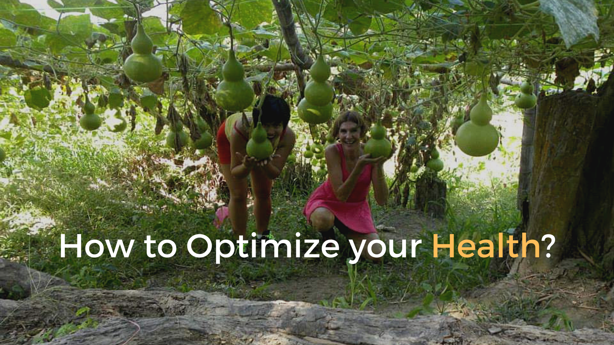 5: Health mastery