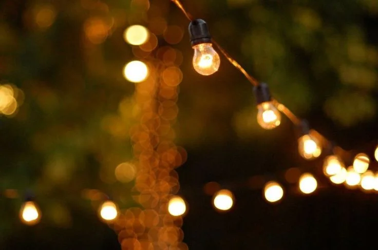 Festoon lighting at an evening event