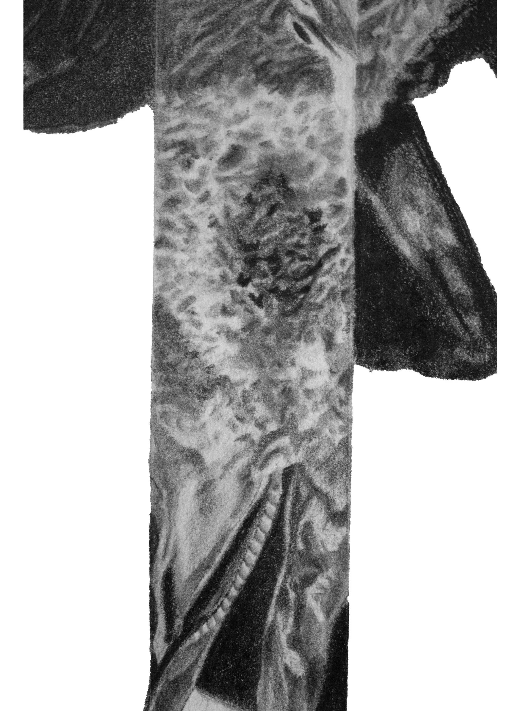 bird decons detail 2.JPG