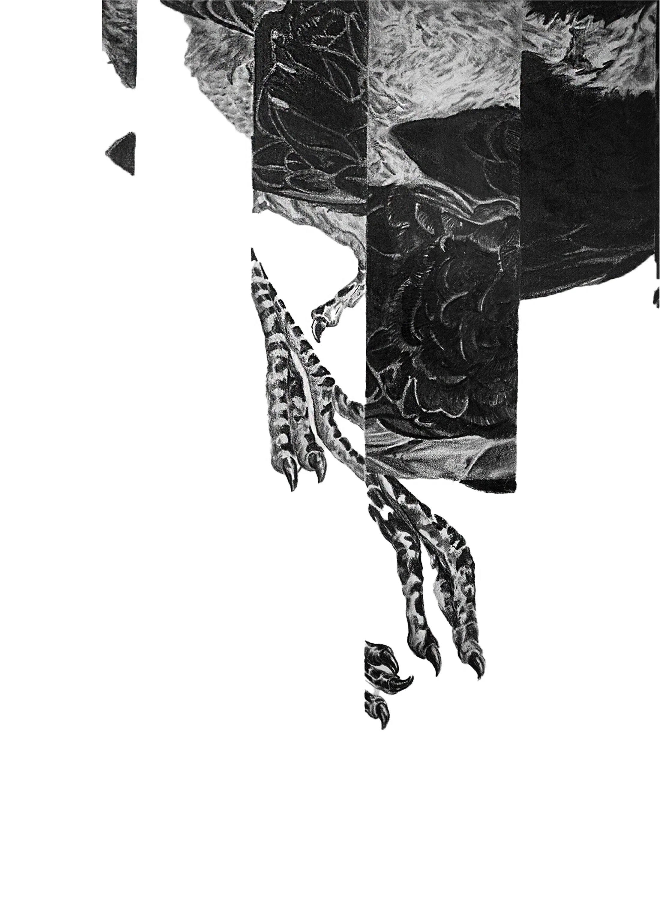 bird decons detail 1.JPG