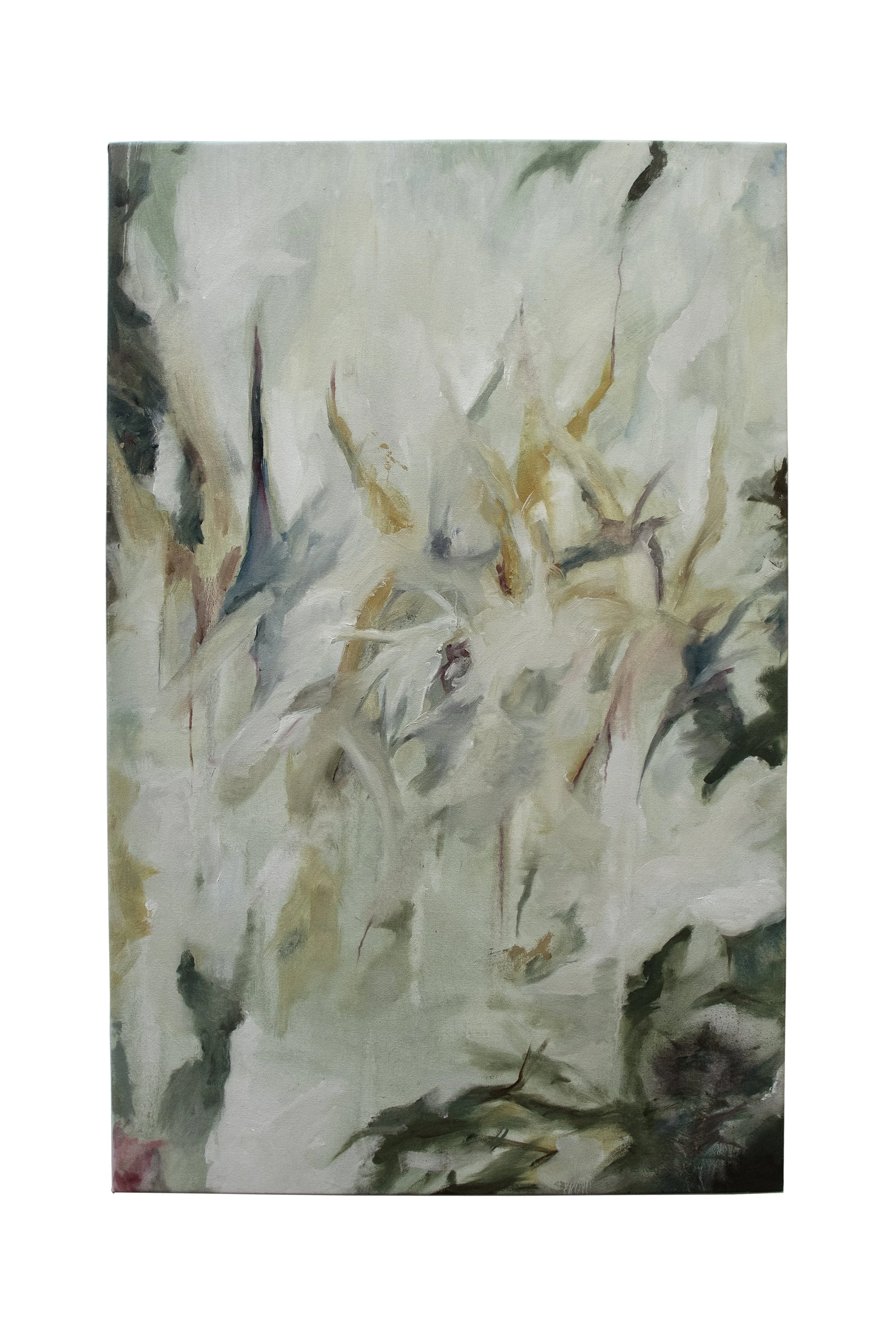 orotina principal.jpg