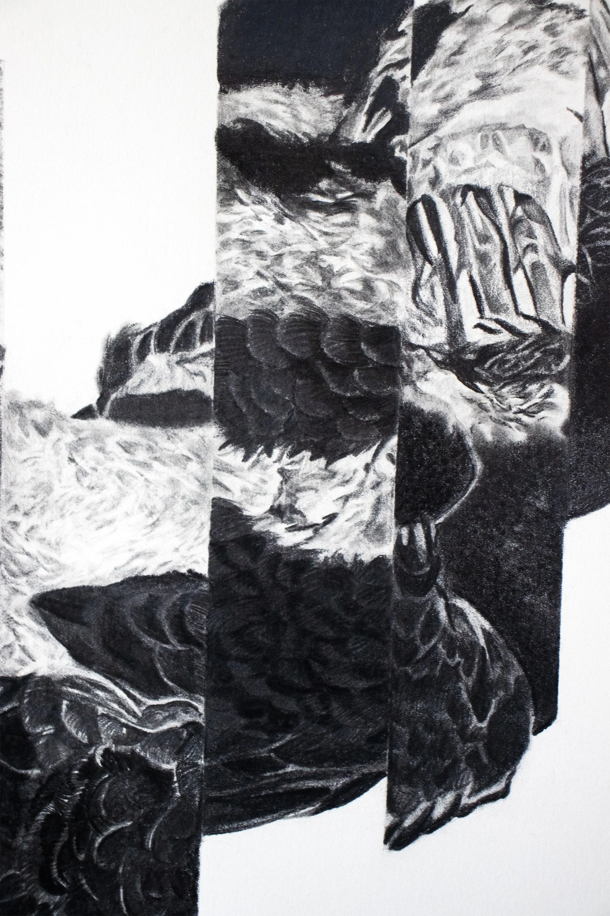 bird decons detail 4.JPG